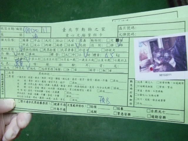 圖檔