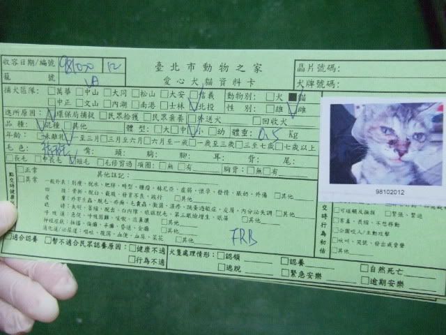 圖檔