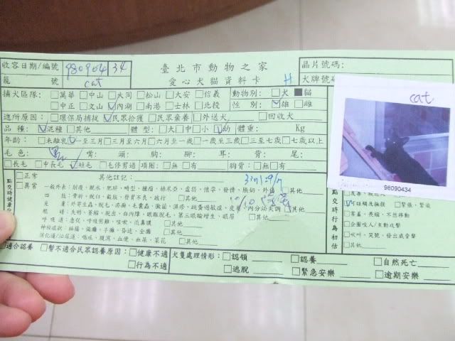 圖檔