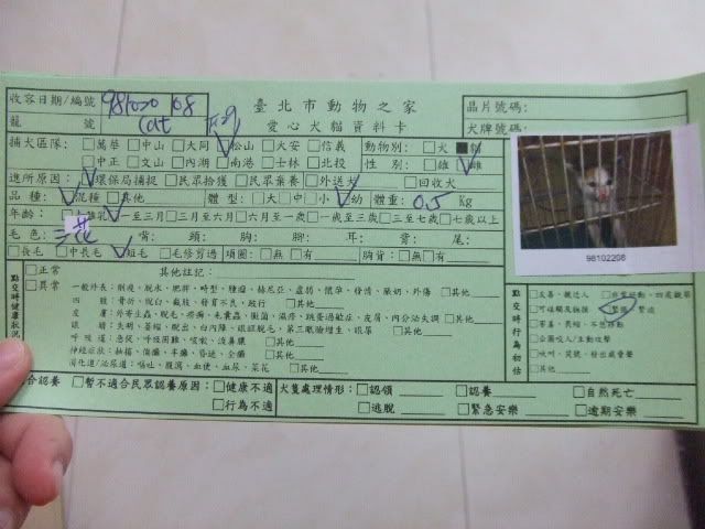 圖檔