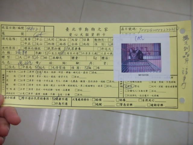圖檔