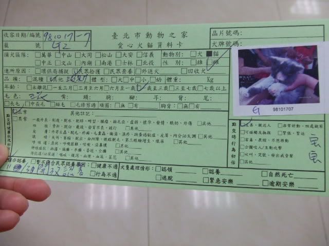 圖檔