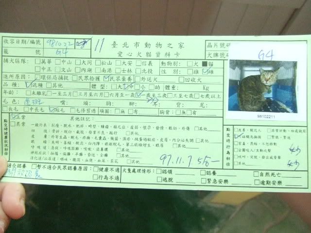 圖檔