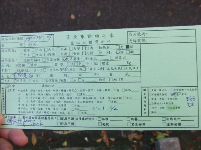 圖檔