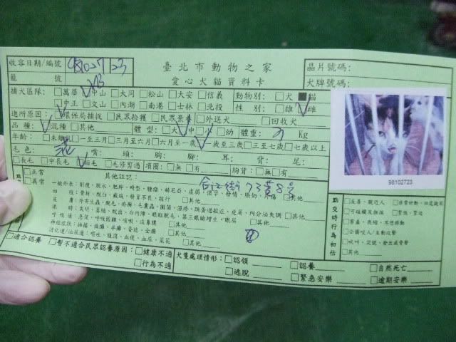 圖檔