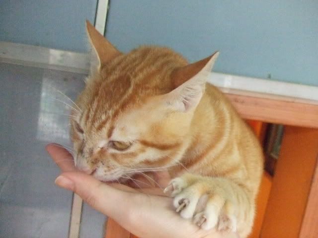 圖檔