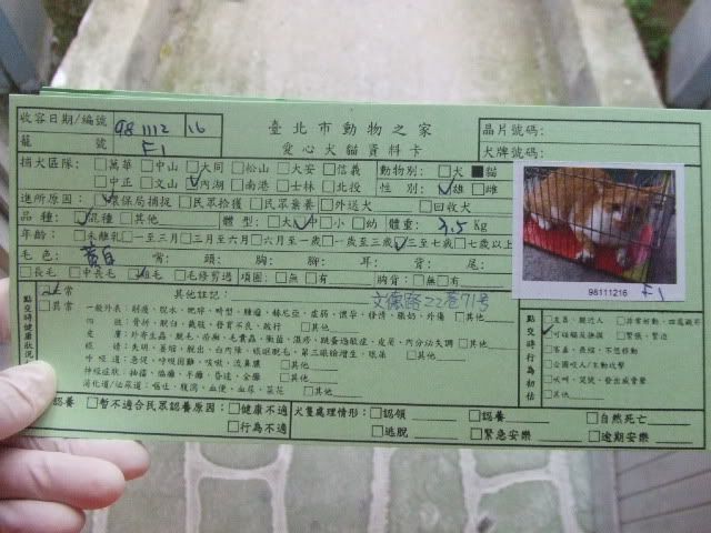 圖檔
