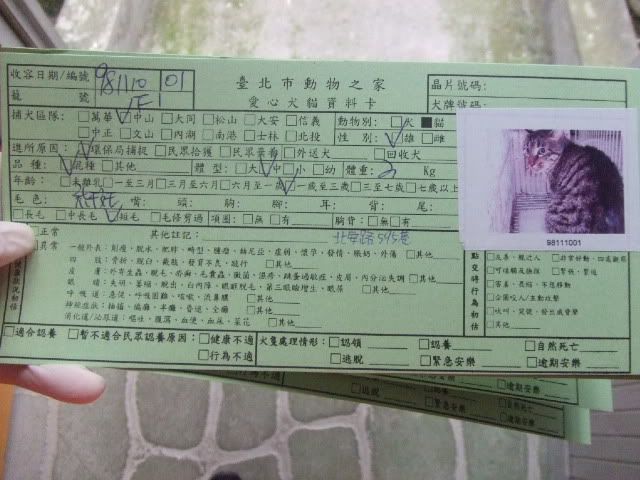 圖檔