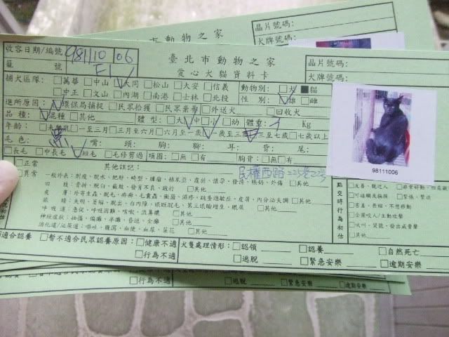 圖檔