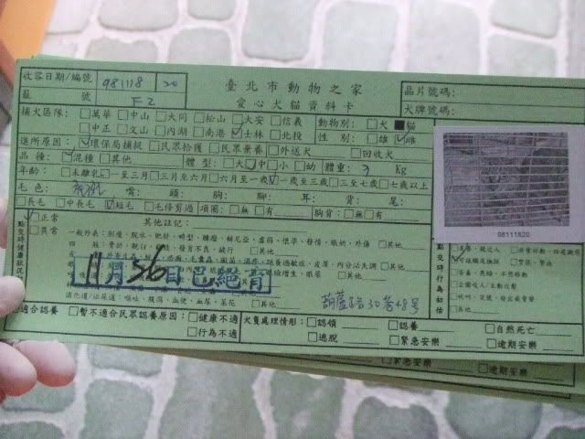 圖檔