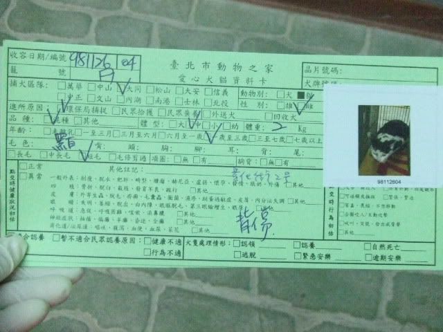 圖檔