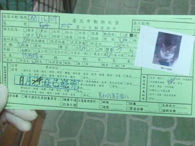 圖檔