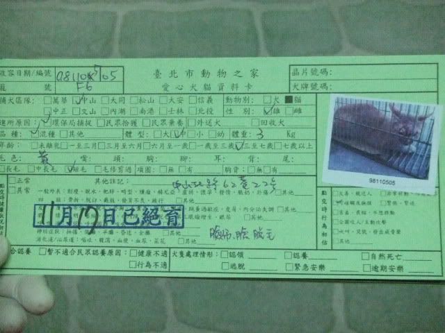 圖檔