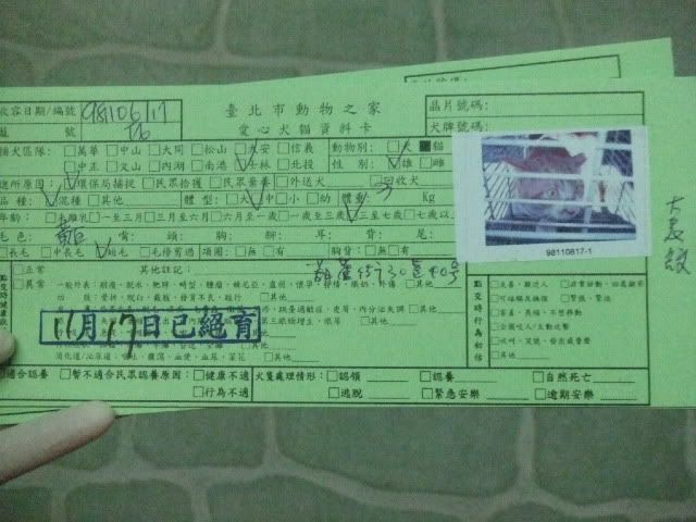 圖檔