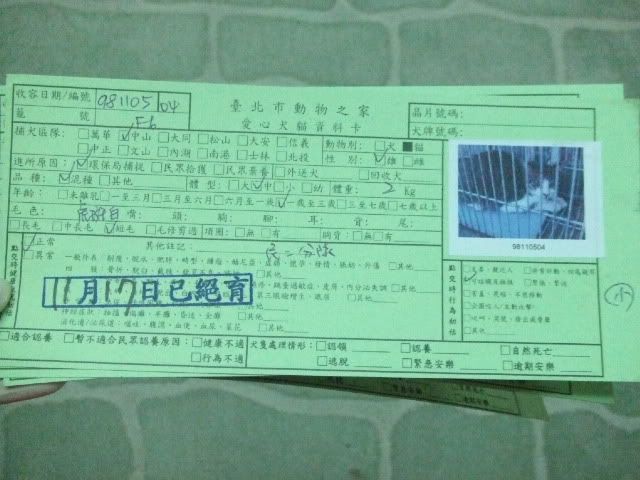 圖檔