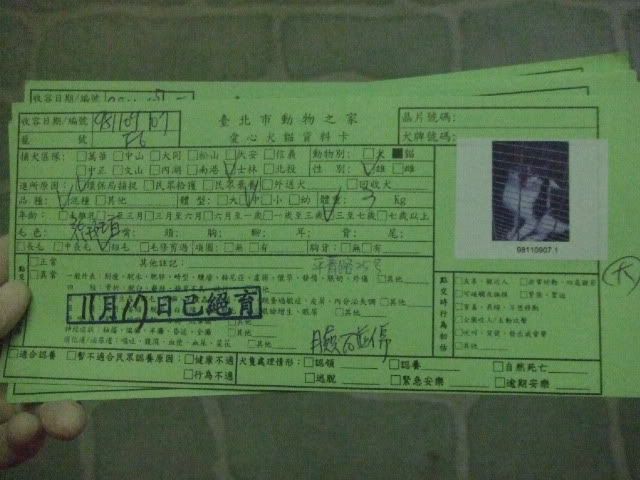 圖檔