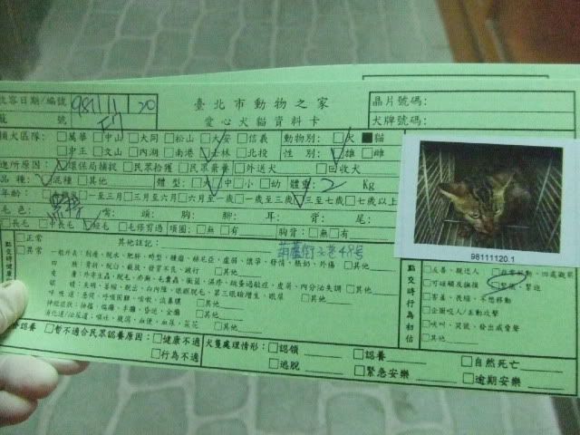 圖檔