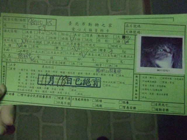 圖檔