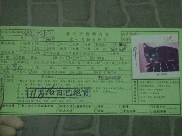 圖檔