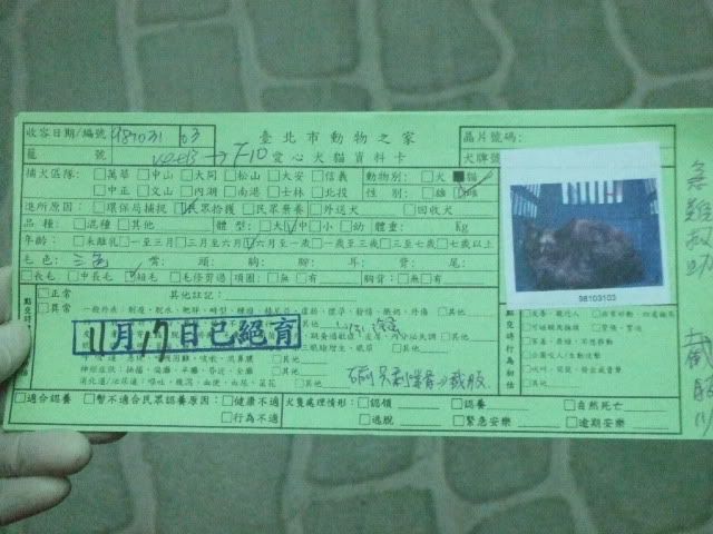 圖檔