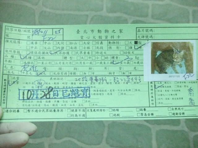 圖檔