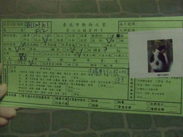 圖檔
