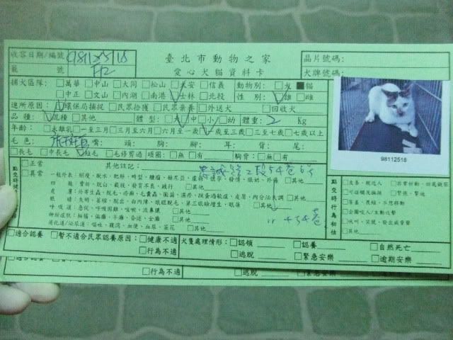 圖檔