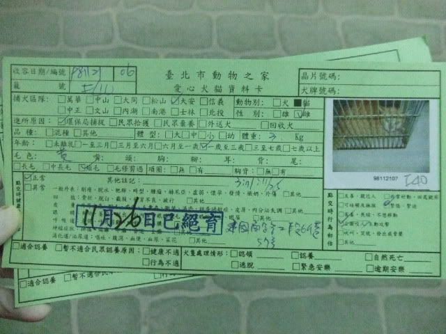 圖檔