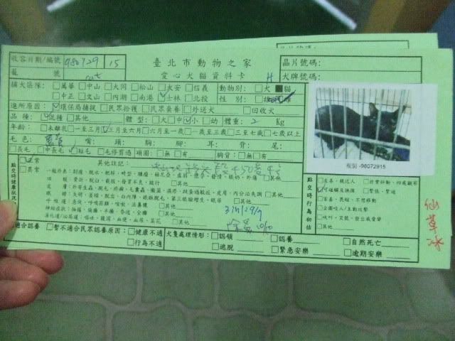 圖檔