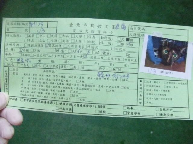 圖檔