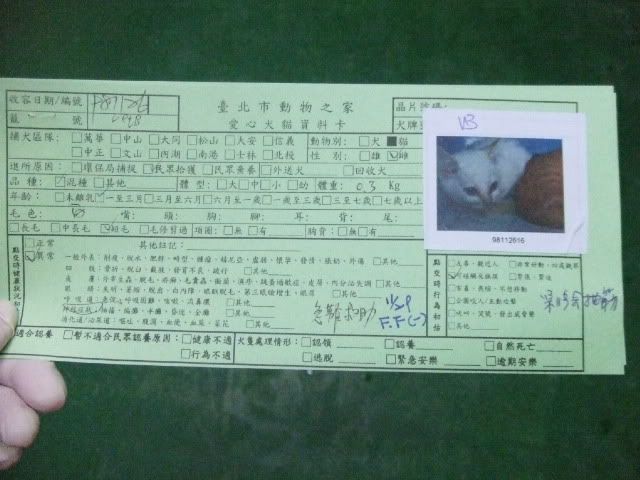圖檔