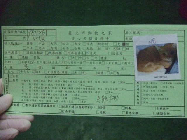 圖檔