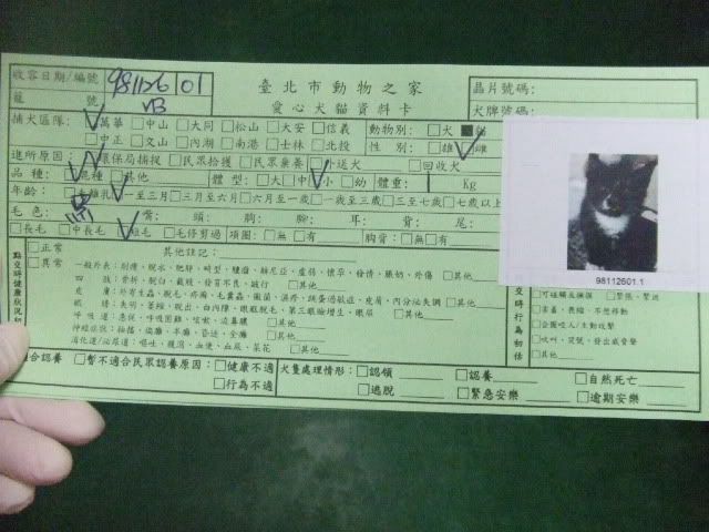 圖檔