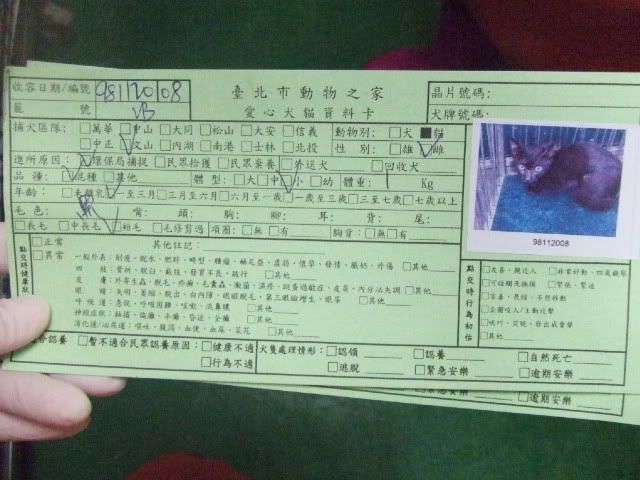 圖檔