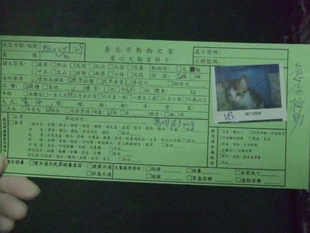 圖檔