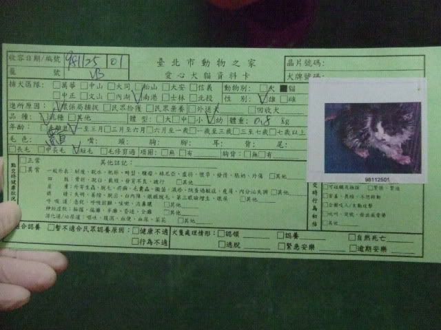 圖檔