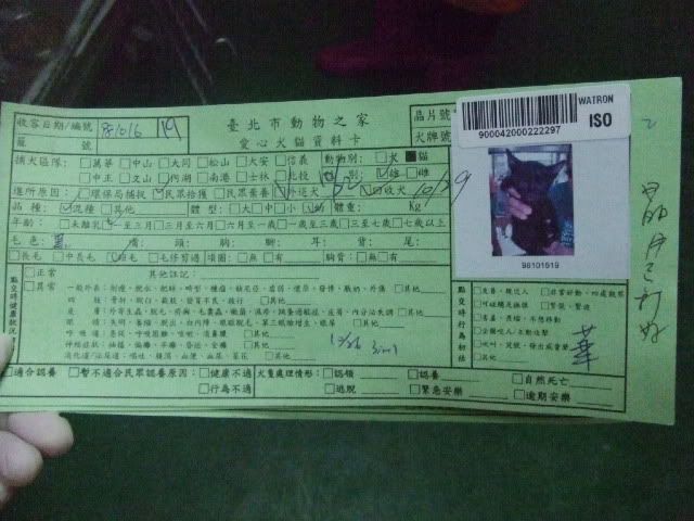 圖檔
