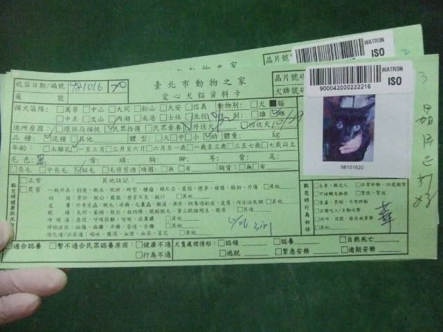 圖檔