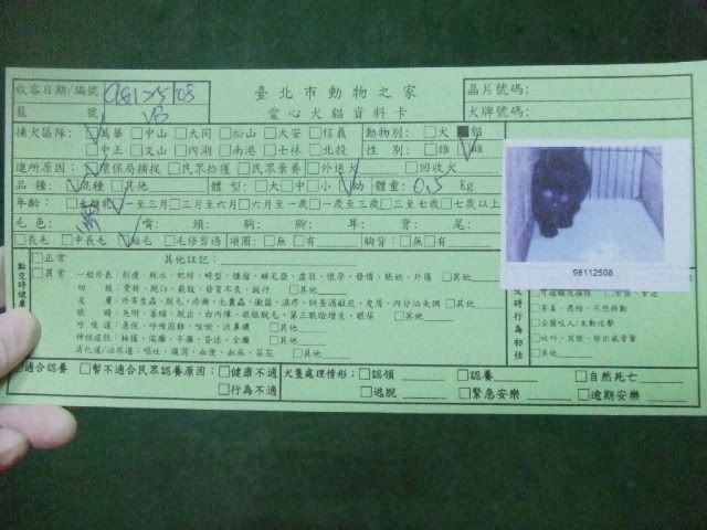 圖檔