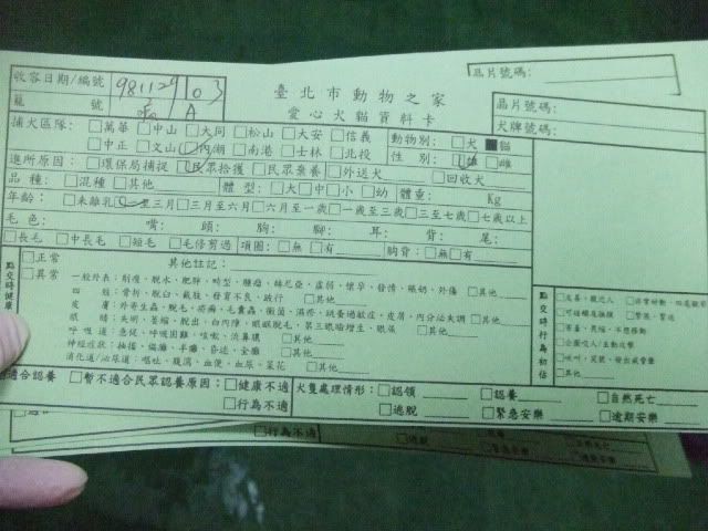 圖檔