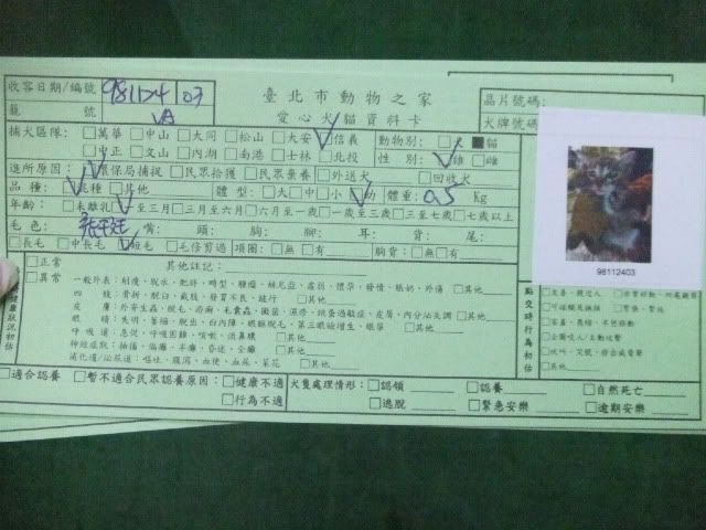圖檔