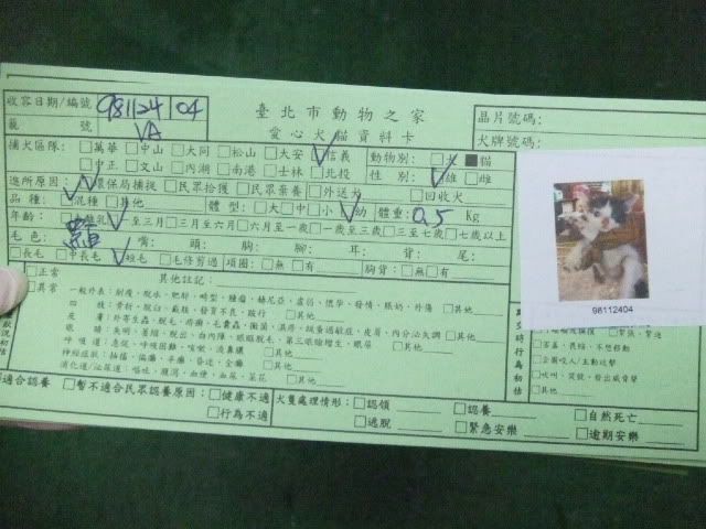 圖檔