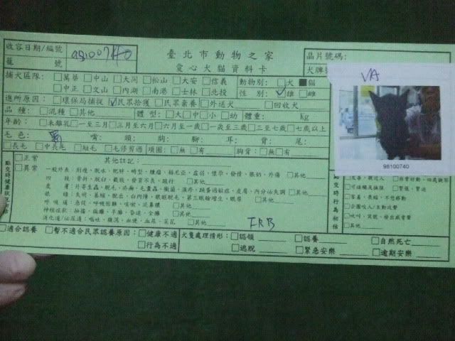 圖檔
