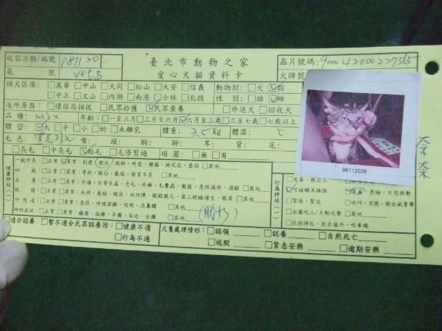 圖檔
