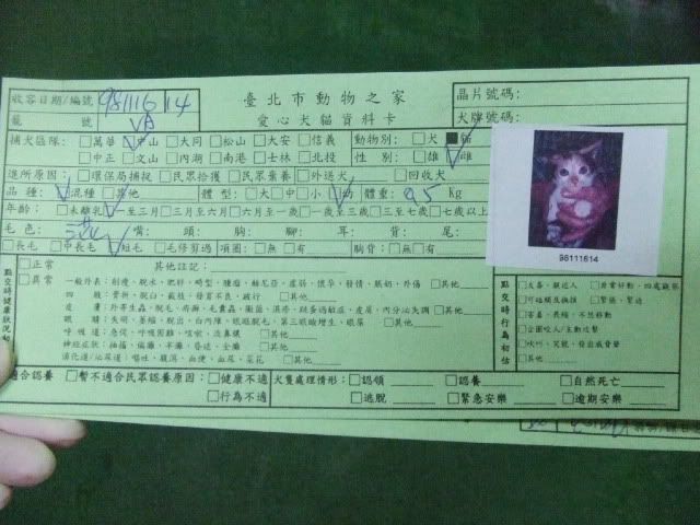圖檔