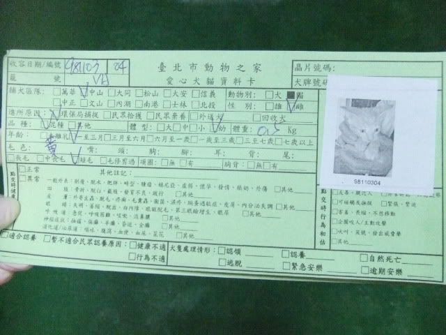 圖檔
