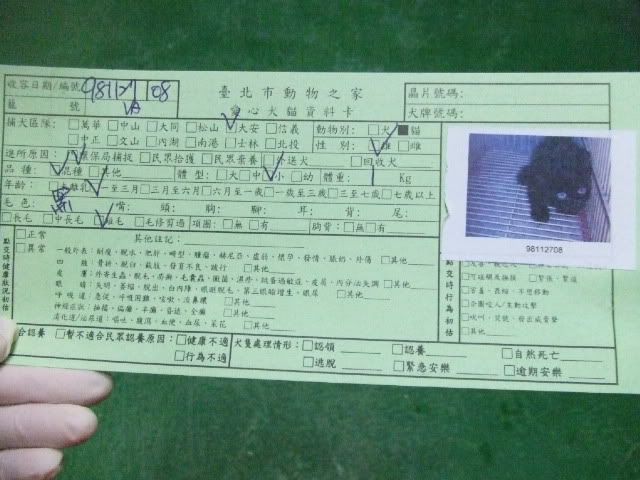 圖檔