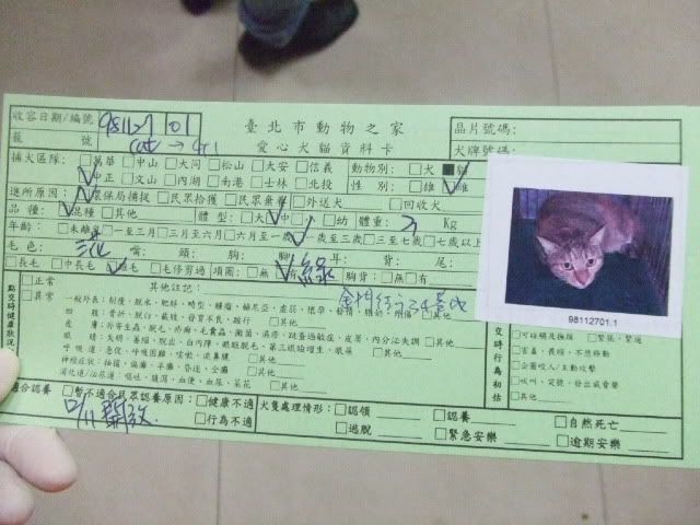圖檔
