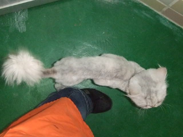 圖檔