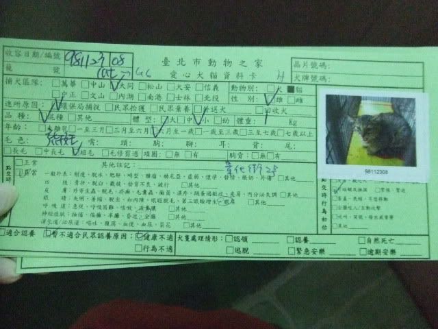 圖檔